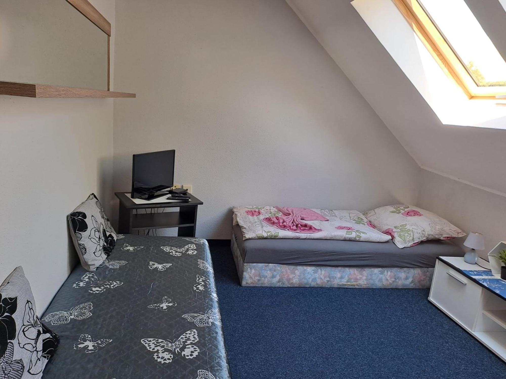 Hotel Kamenny Vrch ホムトフ エクステリア 写真