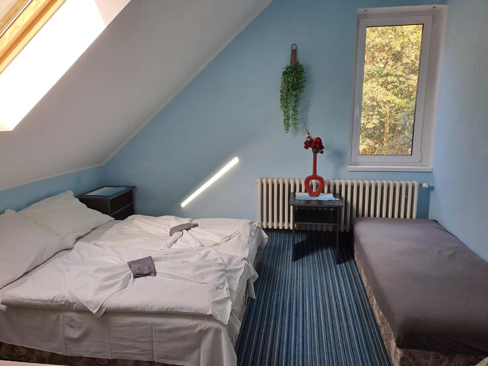 Hotel Kamenny Vrch ホムトフ エクステリア 写真