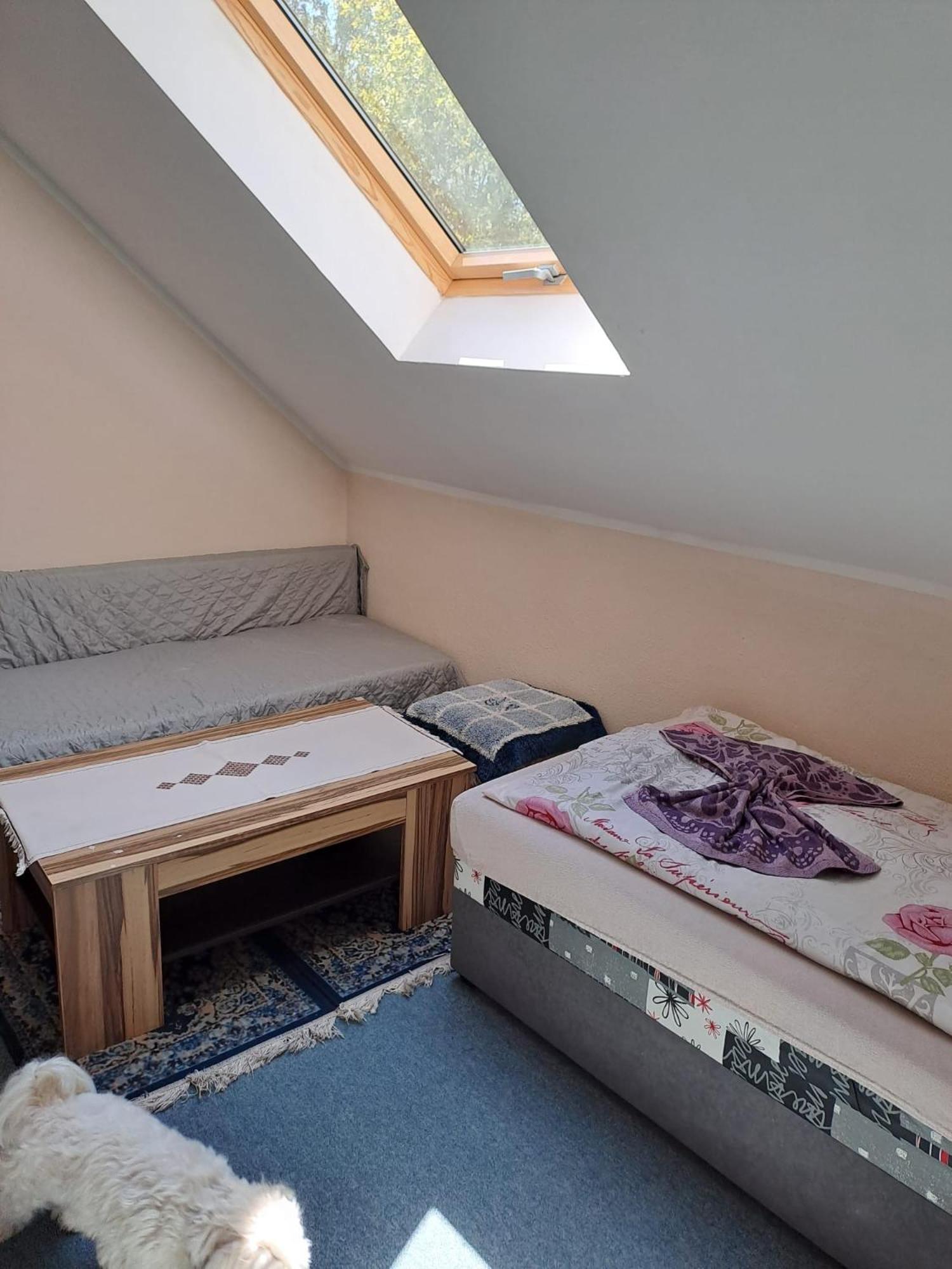 Hotel Kamenny Vrch ホムトフ エクステリア 写真